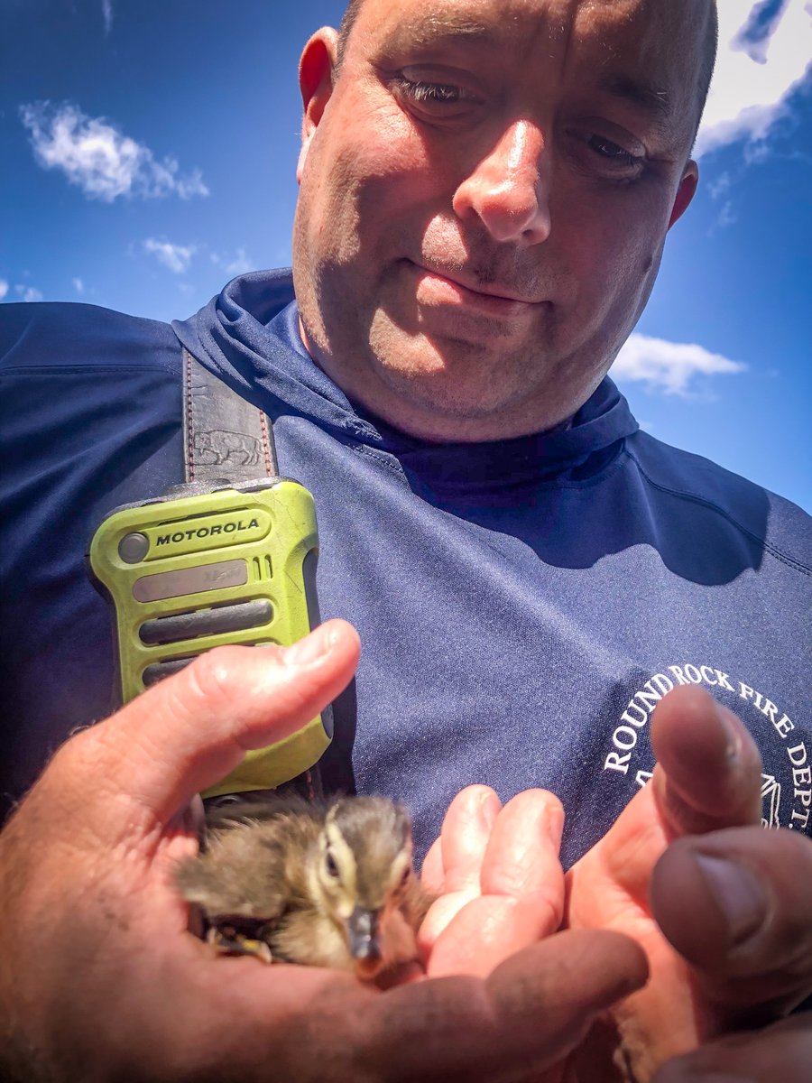 ConDUCKting important business! 🦆🦆🦆 #RoundRock Fire's Ladder 8 crew just rescued 11 ducklings that were washed into a storm drain after recent rains in the Forest Ridge neighborhood. Conquackulations on a job well done!