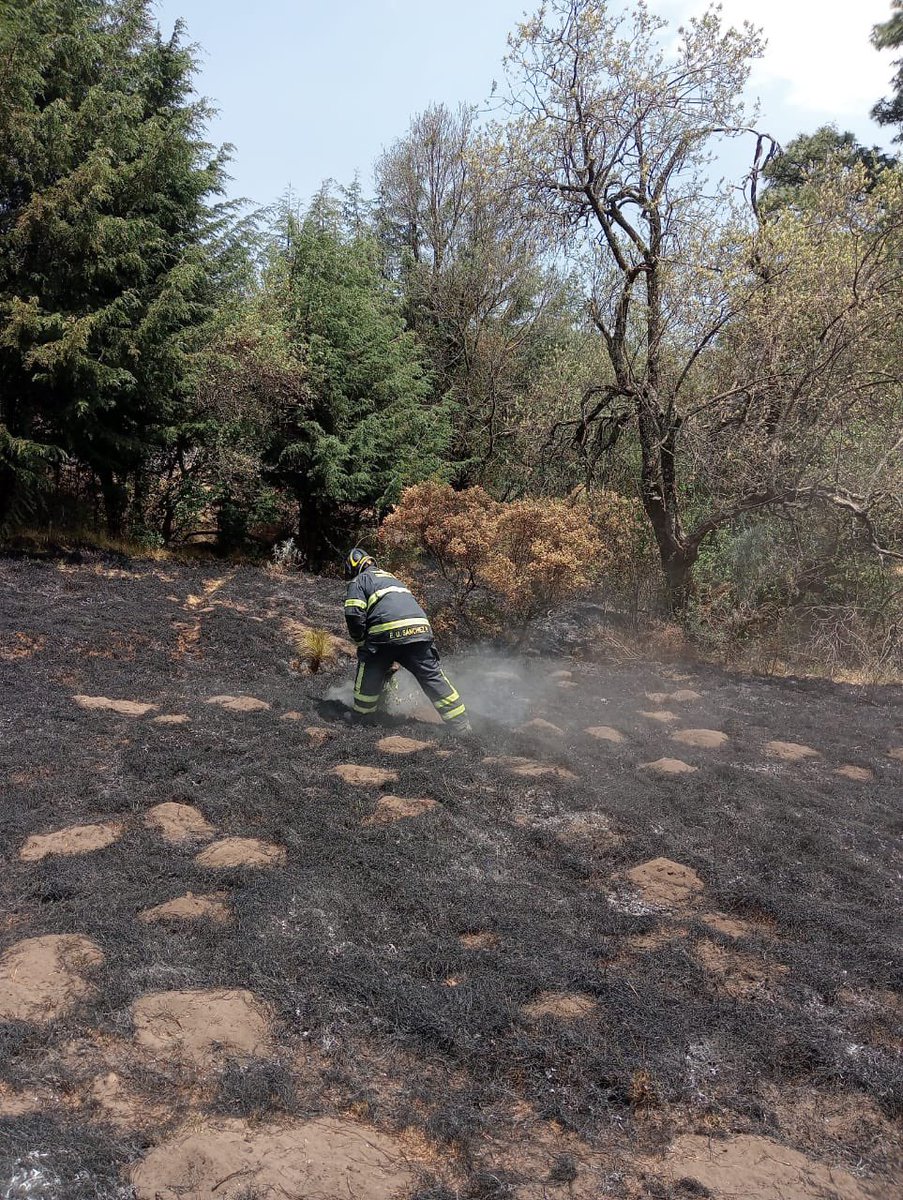 En coordinación con @corena, atendemos incendio en calle Lomas del Bosque, colonia San Miguel Ajusco, en @TlalpanAl, en el lugar saqué más pasto seco y hojarasca en aproximadamente 5 hectáreas.