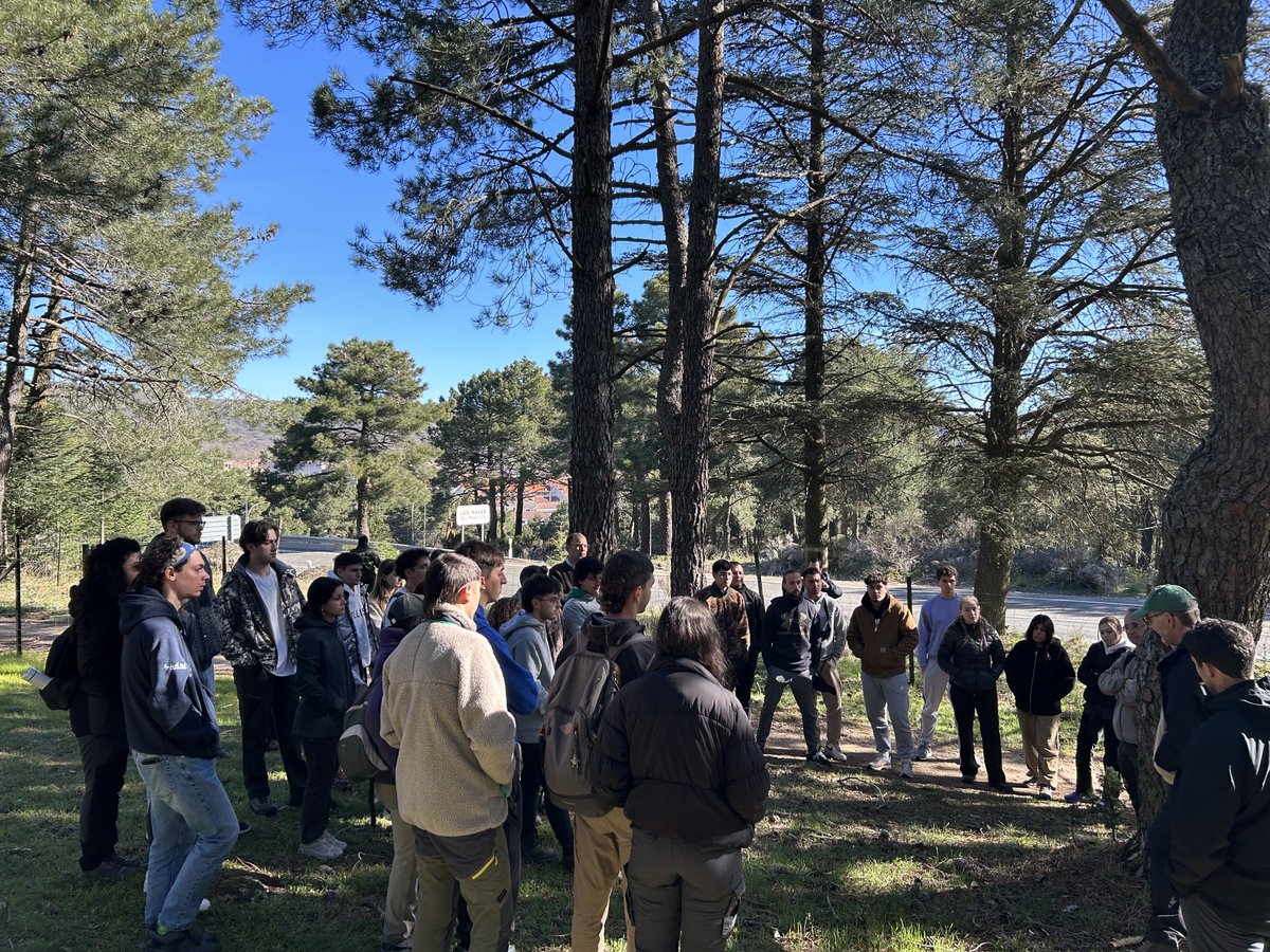 Hoy hemos visitado con alumnos d Grado en ⁦@IngForestal50⁩ d ⁦@eamnupv⁩ ⁦@UPV⁩ diferentes repoblaciones en Ávila guiados por Rodrigo Gandía y José Ceballos d ⁦@naturalezacyl⁩: los alumnos han tenido la ocasión d comprobar sobre el terreno los diferenciales