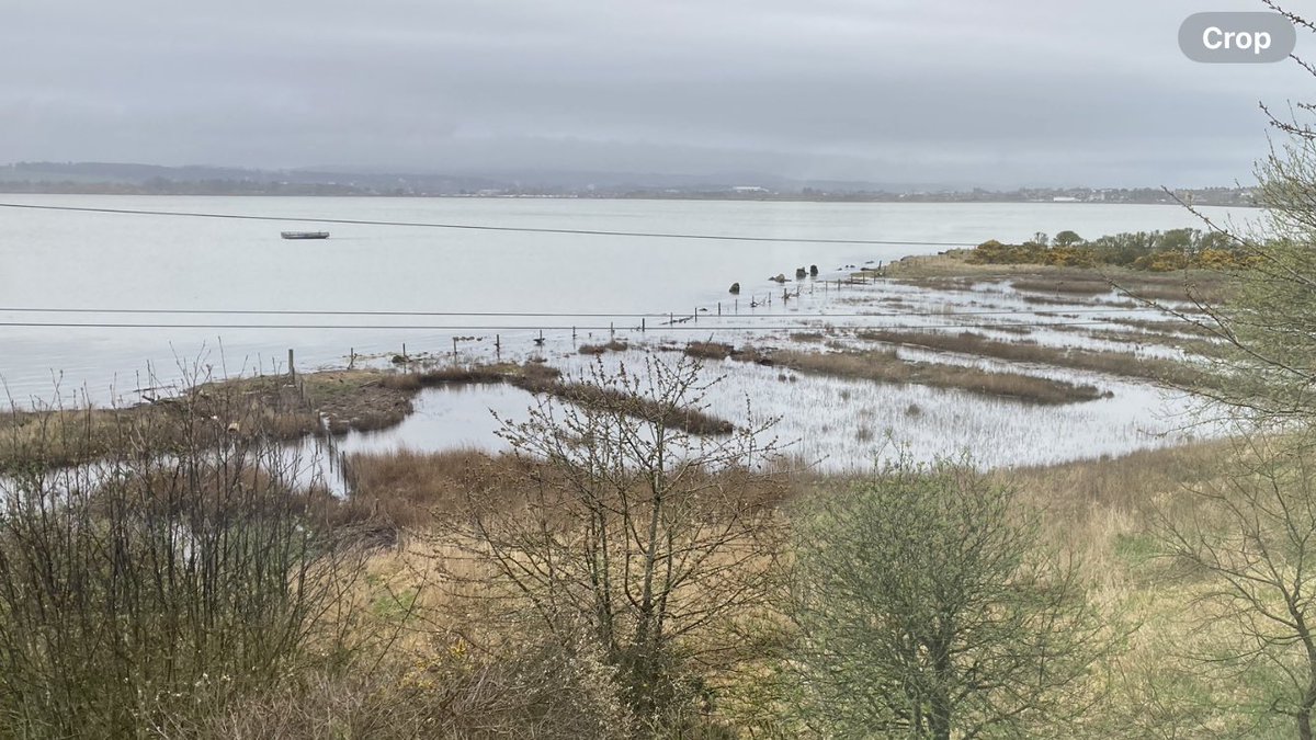 Great to see the @MontroseBasin saltpans restoration funded by @AngusCouncil Nature Restoration Fund in 2022/23 functioning as a connected wetland today.. 5.3m high tide.. very high and not quite high tide when pic taken! #montrosebasin #Angus #riversouthesk #montrose #NRF