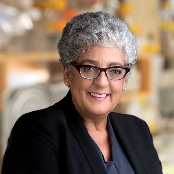 Read about inaugural Philip N. Benfey NAASC Arabidopsis Community Lifetime Achievement awardee Dr. Joanne Chory, Salk Institute for Biological Studies @salkinstitute arabidopsiscommunity.org/news-events/pa…