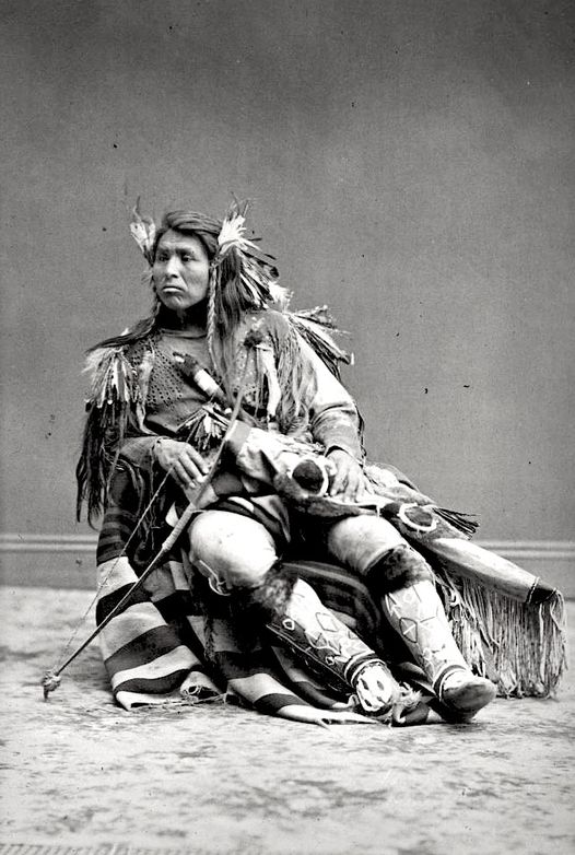 Cappolas, Chief of the Warm Spring Indian Scouts and capturer of 'Captain Jack' of the Modocs. 1874. Photo by Thomas Houseworth. Source - Denver Public Library.