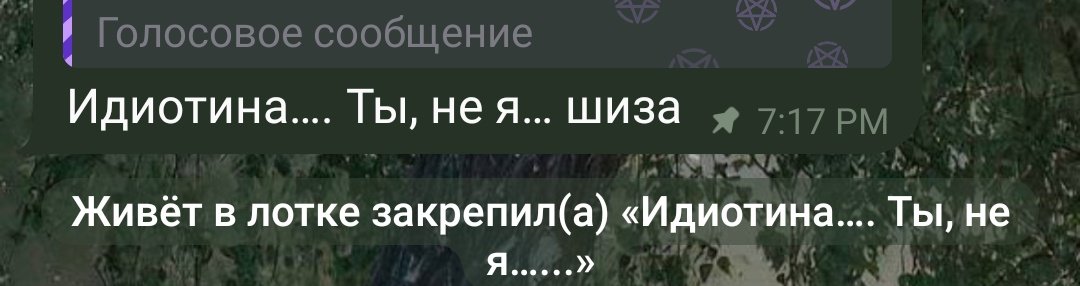 Мои цитаты