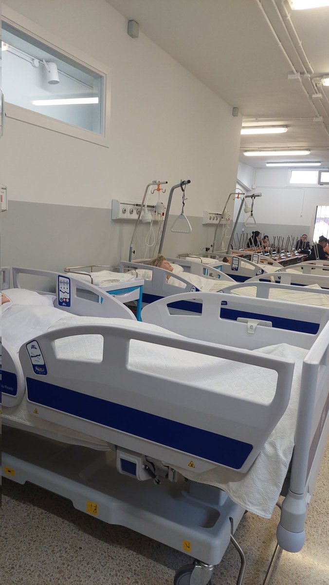 Patrícia Illa tweet media