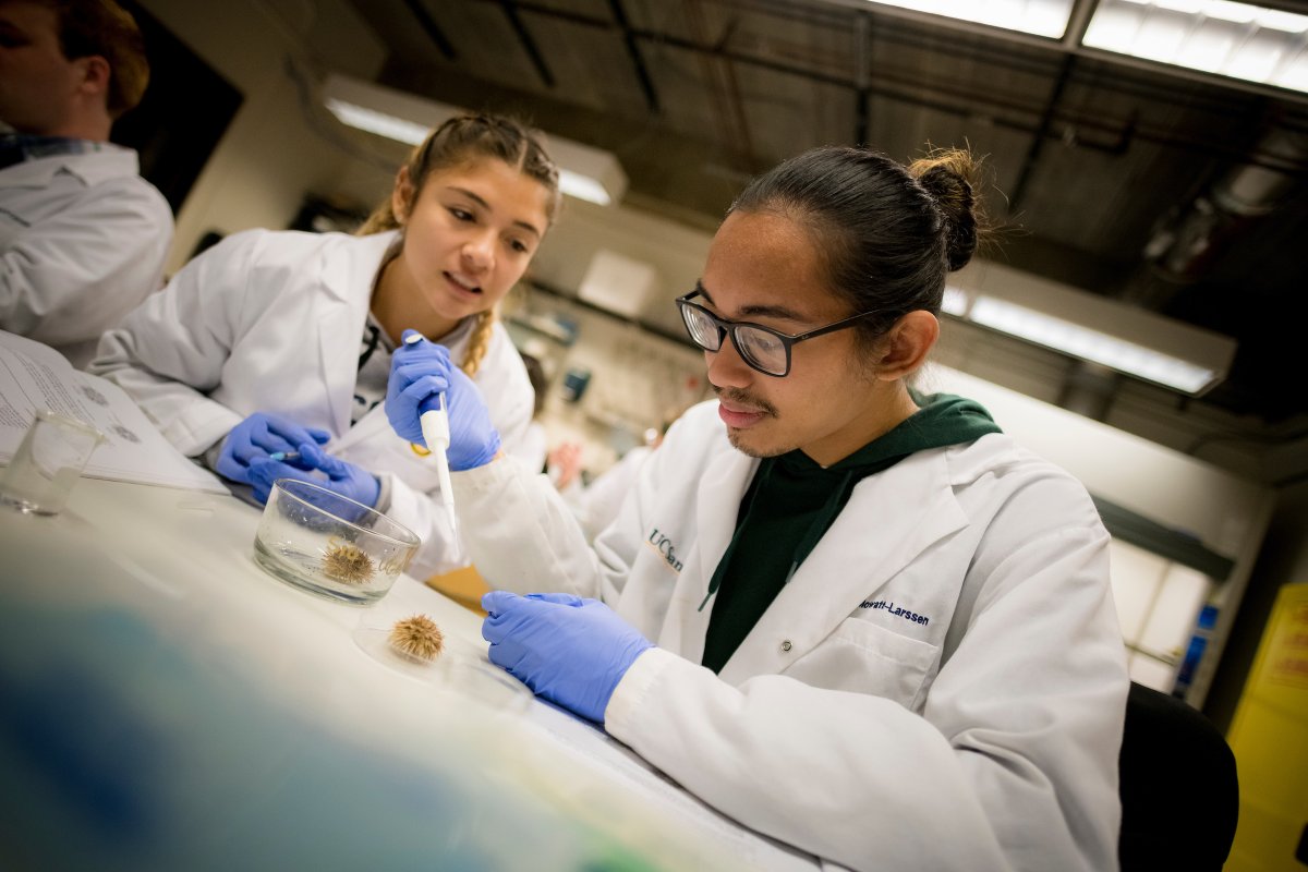 We can't wait to welcome the #ClassOf2028 to Scripps Oceanography! Explore some of the undergraduate majors available, including: 🌏 Geosciences 🌊 Oceanic and Atmospheric Sciences 🐟 Marine Biology 🏞️ Environmental Systems Learn more: scripps.ucsd.edu/undergrad
