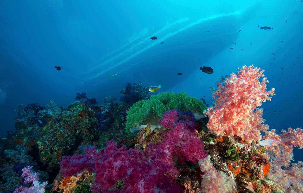 Yachts for Science tweet media