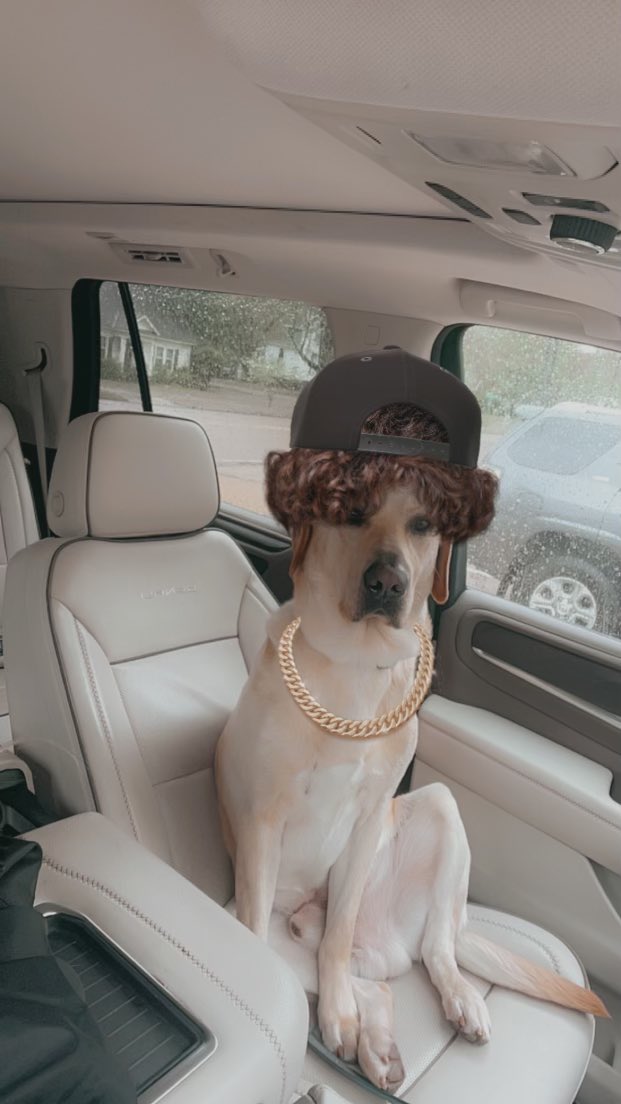 Juice Kiffin tweet media