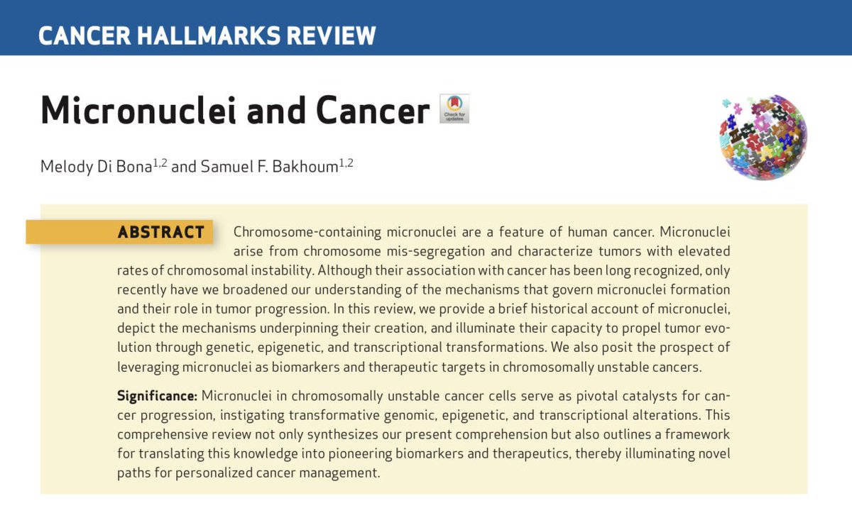 In this review, authors provide a brief historical account of micronuclei, depict the mechanisms underpinning their creation, and illuminate their capacity to propel tumor evolution through genetic, epigenetic, and transcriptional transformations #AACR24 aacrjournals.org/cancerdiscover…