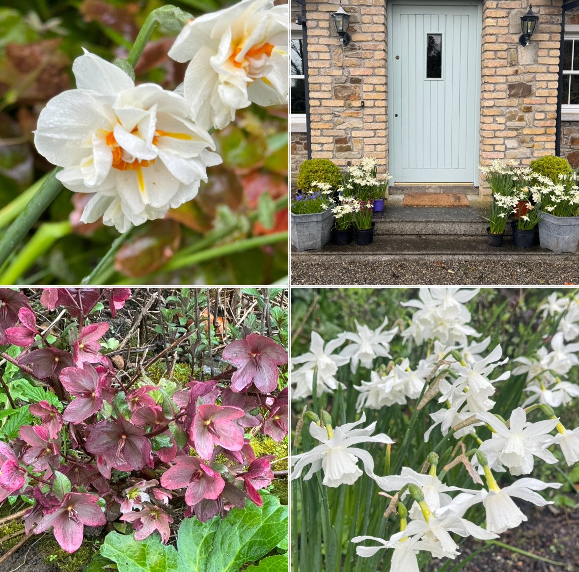 Good Evening, spring arrived here at the studio 💐 If you are looking for a little time out to learn something new, get the creative juices going - our spring oil painting programme is now on our website. #localbusiness #artschool #Wednesday #GardeningX