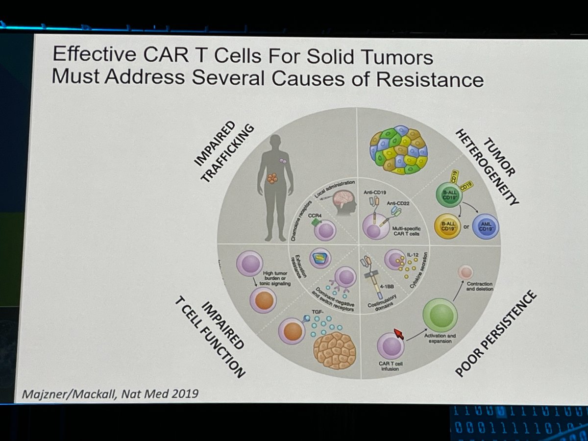 Ludwig @Stanford's Crystal Mackall gave a plenary talk at #AACR24 on strategies to design CAR-T cells to overcome the multiple impediments that limit their ability to kill cancer cells in solid tumors.