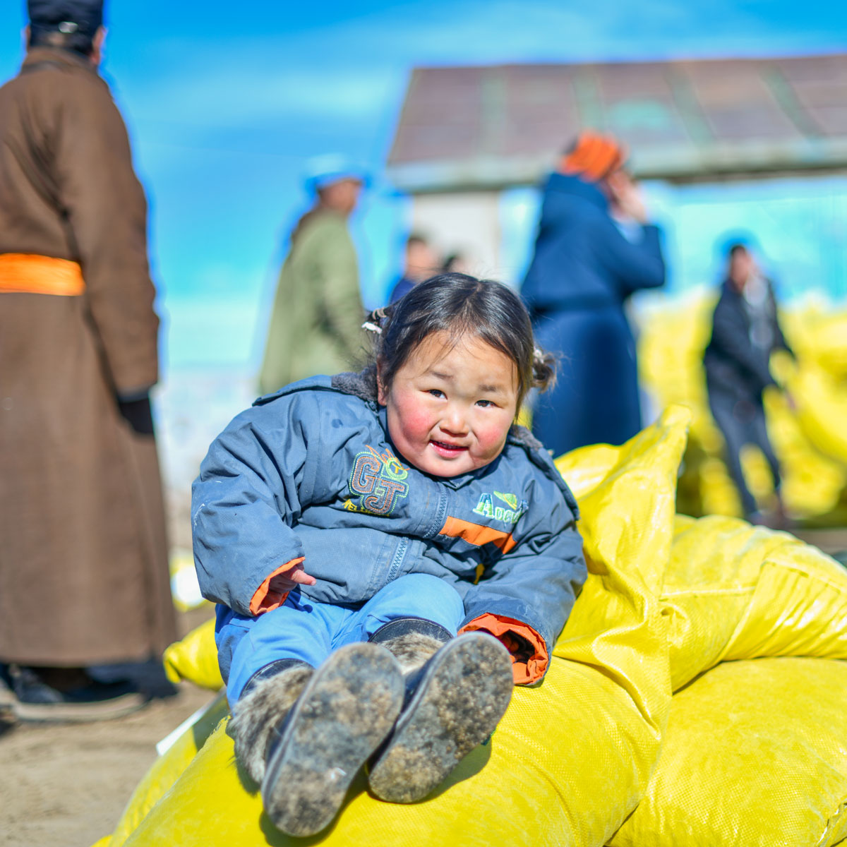 Amid a harsh Mongolian winter, this sweet face brings hope! With rising animal deaths & hay prices soaring, herders face bleak a future. But we believe no situation is hopeless! With @USAID, we're providing 2,000 herders in 5 provinces with aid. Let's pray for their resilience🙏