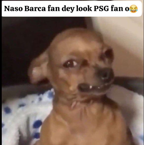 AfolarF's tweet image. 