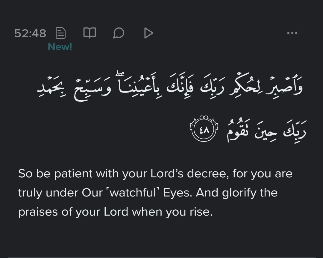 'So wait patiently for the decision of your Lord, for verily, you are under Our Eyes; and glorify the praises of your Lord when you get up.' - Al Qur'an 52:48