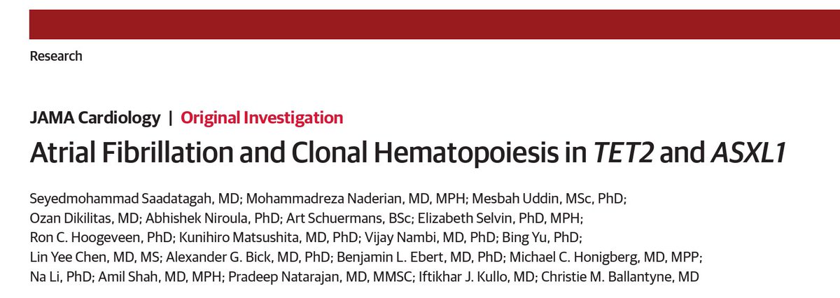 We studied the association of CHIP and AF and investigated the potential intermediates. jamanetwork.com/journals/jamac… @Naderian_mr @M_Mesbah_Uddin @dikilitas_ozan @artschuermans @LizSelvin @vijay_nambi @AlexBickMDPhD @mchonig @naliphd @pnatarajanmd @iftikhar_kullo @CBallantyneMD