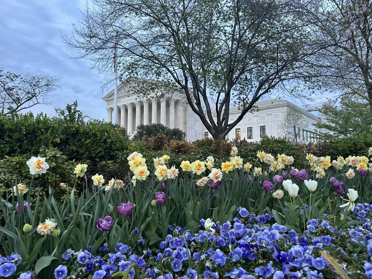 Spring in Washington.