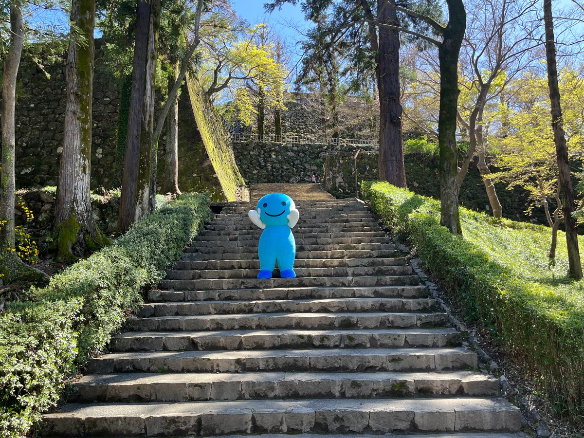 おはよ～！
みんな今日も一日がんばろうねぇ💙

#くろしおくん
#高知県 #高知城