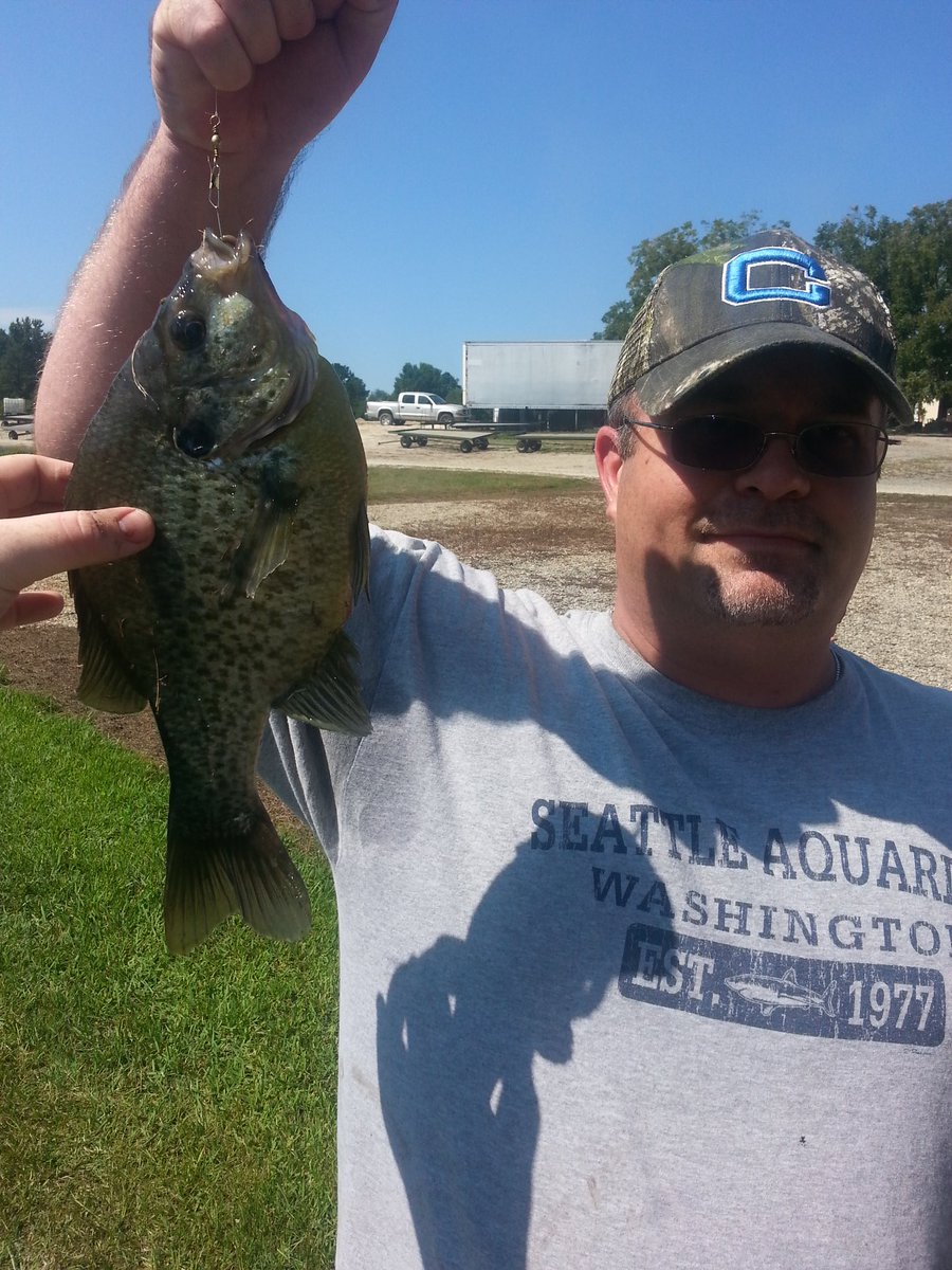 BBB⚒️ tweet media