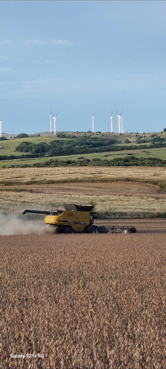 Daniel Barcelonna tweet media