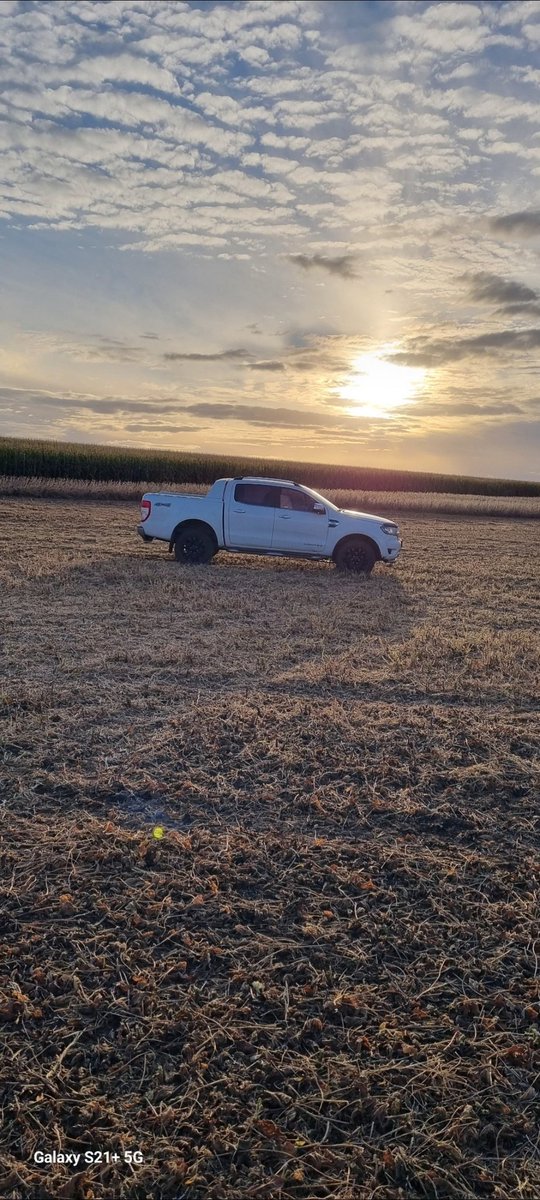 Daniel Barcelonna tweet media