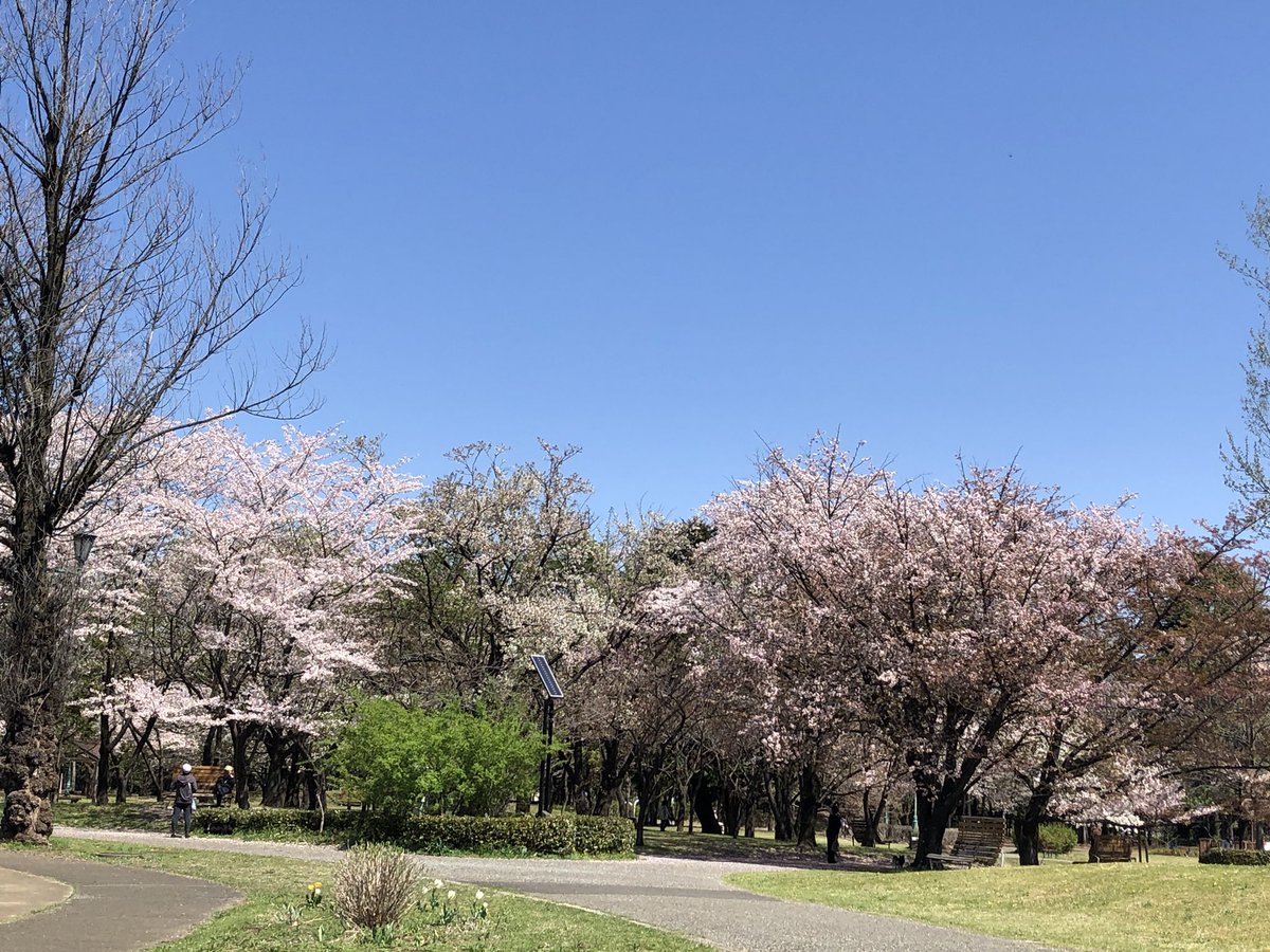 Cheeco 体調により、ゆっくり、のんびりいたします！ tweet media
