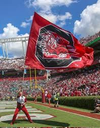 Truly blessed to receive an offer from the University of South Carolina #agtg #BlessedAndGrateful @CoachSterlLuc