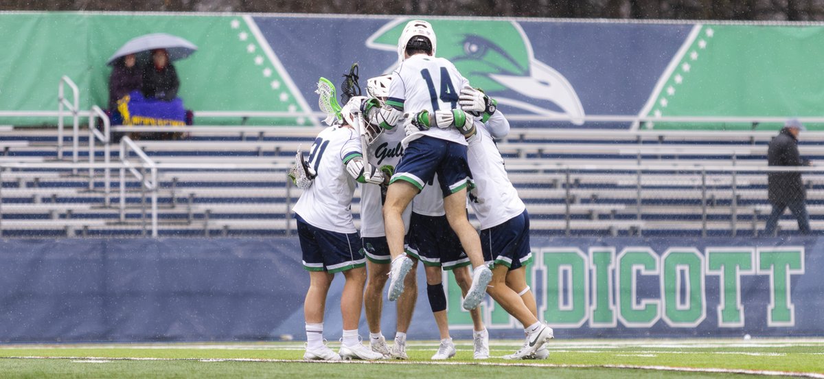 MLAX: No. 19/19 @EndicottMLAX Breezes By UNE, 20-5 STORY ➡️ ecgulls.com/x/qljrh NOTES *The Gulls are now 7-0 on the road this season