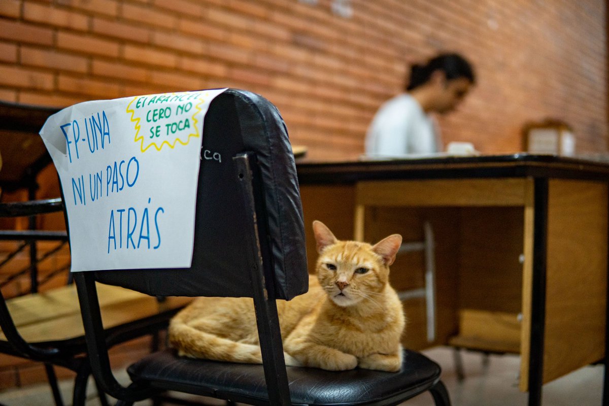 Polimichi ha tomado partido por el Arancel Cero y el triunfo del movimiento estudiantil de Paraguay es inexorable