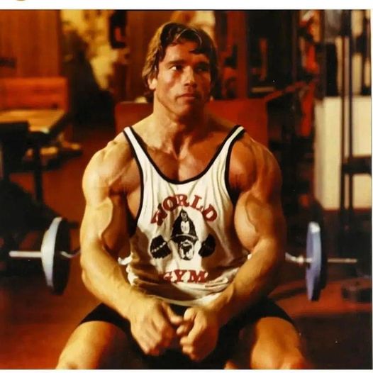 NITRO GYM
🏋️‍♂️💪💪🏆🥇👑
Father of Bodybuilding 
Arnold
#feed
#feedfeed
#reels
#instagood
#viral
#fitness
#instareels #instadaily #instagram #bodybuilding #backworkout #bodypositivity #workout #gymlover #gymlife #gym #foryoupage #fitness #motivation #fitnessmodel #trending #foryou