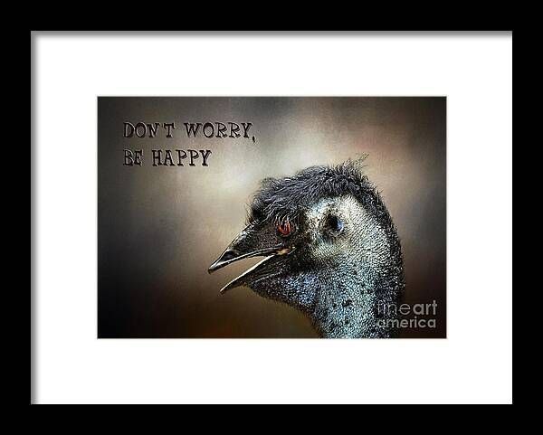 #DontWorryBeHappy #emu #Framed #Print by Kaye Menner #Photography + Wide variety #Prints & lovely #Products at: bit.ly/3UcmqjS