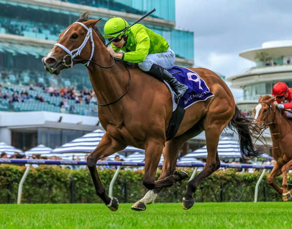 ⭐@pstokesracing's @DinunzioShae joined @ghall27 to preview the stables runners across three states on Saturday, headlined by Amade in the Sydney Cup and Stretan Angel in the Redelva Stakes at Morphettville Get the inside word below 👇 podtrac.com/pts/redirect.m…