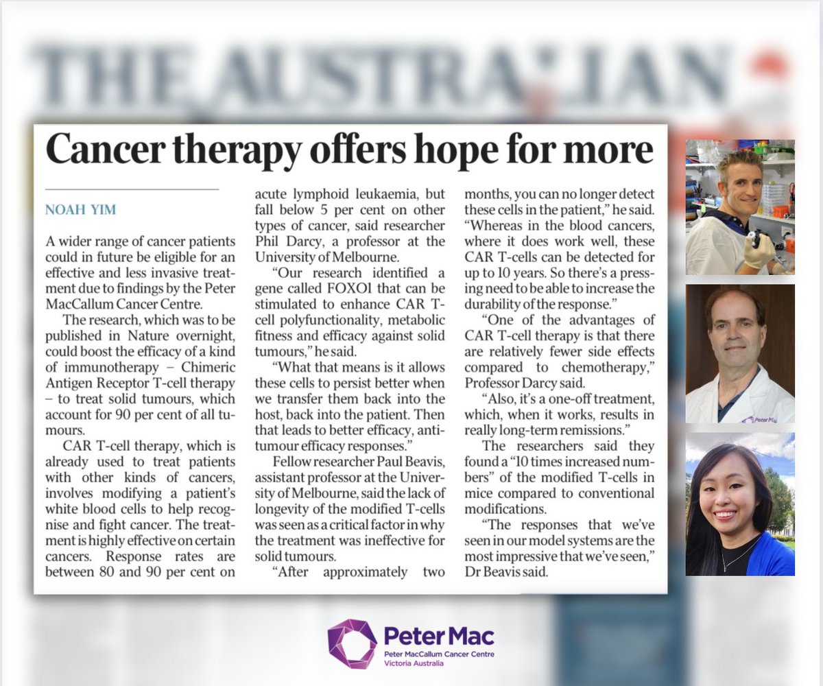 In the news today, some incredibly exciting Peter Mac research, using ovarian, breast and colon cancer models, has identified a gene that can be stimulated to make the CAR T-cells younger, fitter, more dynamic & effective in fighting solid tumours. More: petermac.org/about-us/news-…