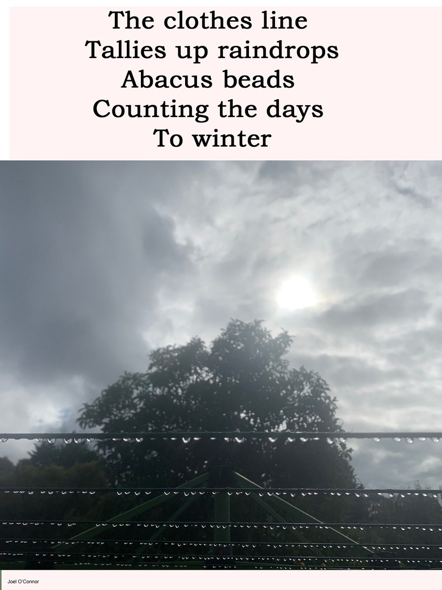 The clothes line 
Tallies up raindrops
Abacus beads 
Counting the days 
To winter
#autumnwinter #autumn #WINTER #seasons #australia #melbourneweather #Victoria #Melbourne #Australia #POEMS #poetry #poetrycommunity #creativewriting #math #abacus