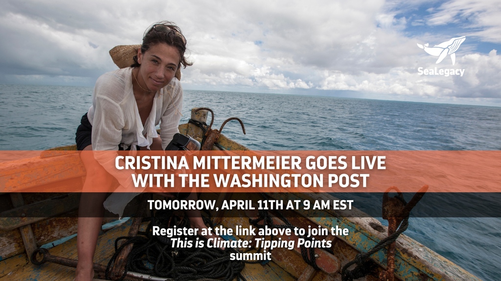 Co-founder @cmittermeier joins global leaders for the This is Climate: Tipping Points summit, live tomorrow with the @washingtonpost! Register here: washingtonpost.com/washington-pos…