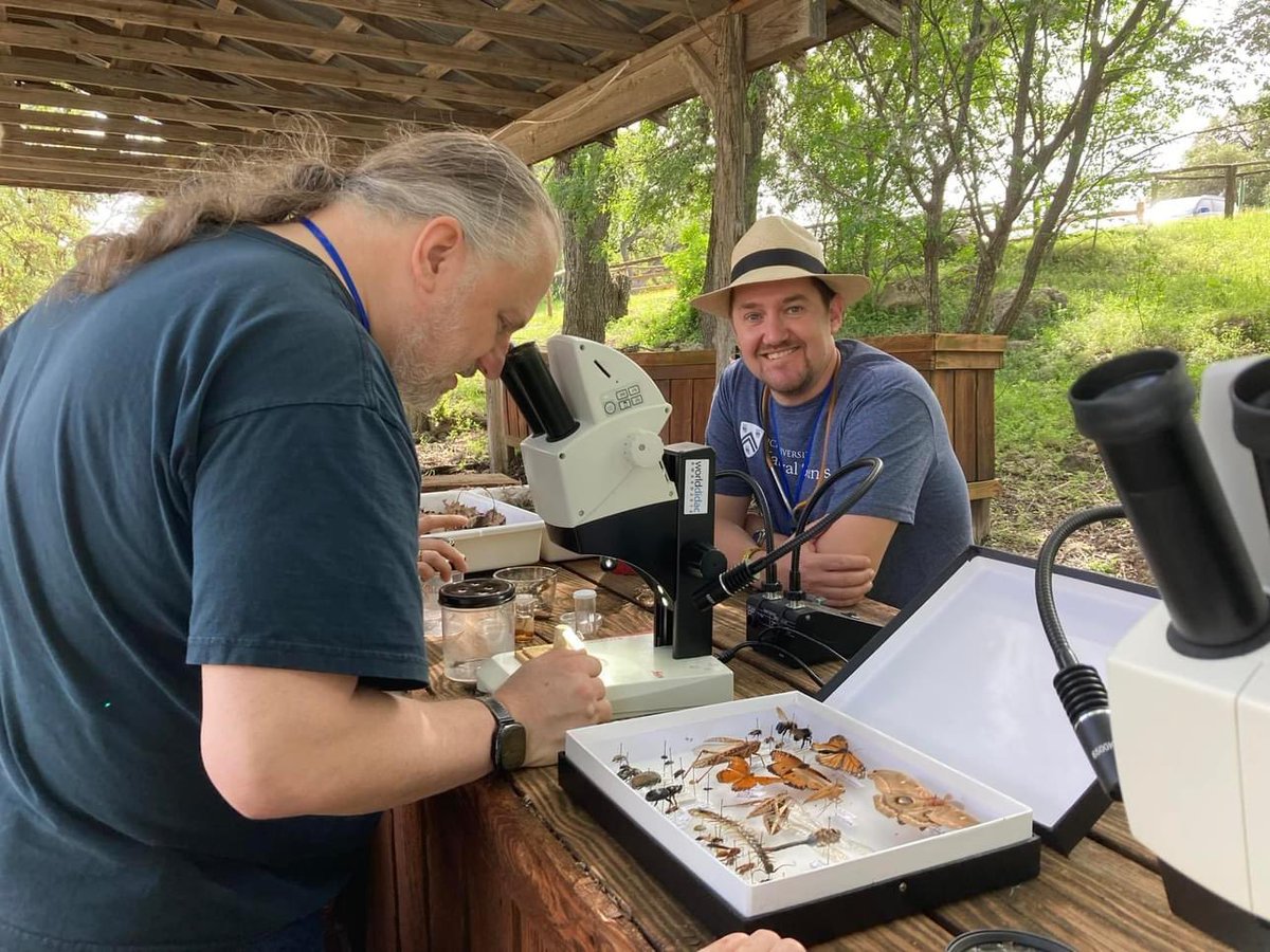 The eclipse was a great opportunity to do some outreach and science communication— in this case about Texas insects! (📸: Wanda Pan)