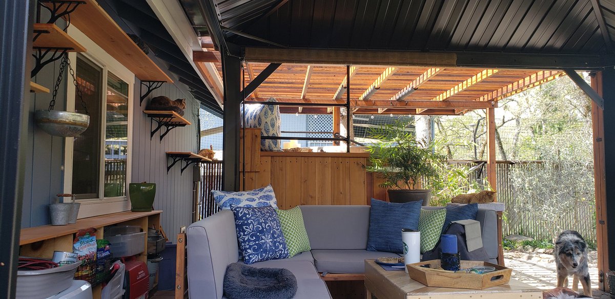 Lisak3388's tweet photo. Catio life😊. My husband finished the hot tub and surrounding deck, & of course more cat shelves.
It's easy to #catify your spaces. #CatsOfTwitter https://t.co/JQCpQRhK9T