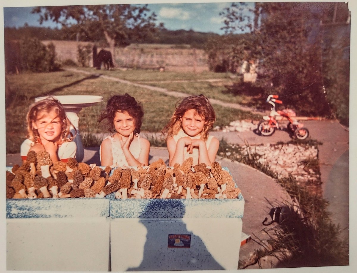 A fave pic of me & my sissy's in celebration of National Siblings Day...AND morel mushroom season 🍄😋 #NationalSiblingsDay 1970's #SiblingsDay #GenX Gen X #NationalSiblingDay2024 #sisters #1970s