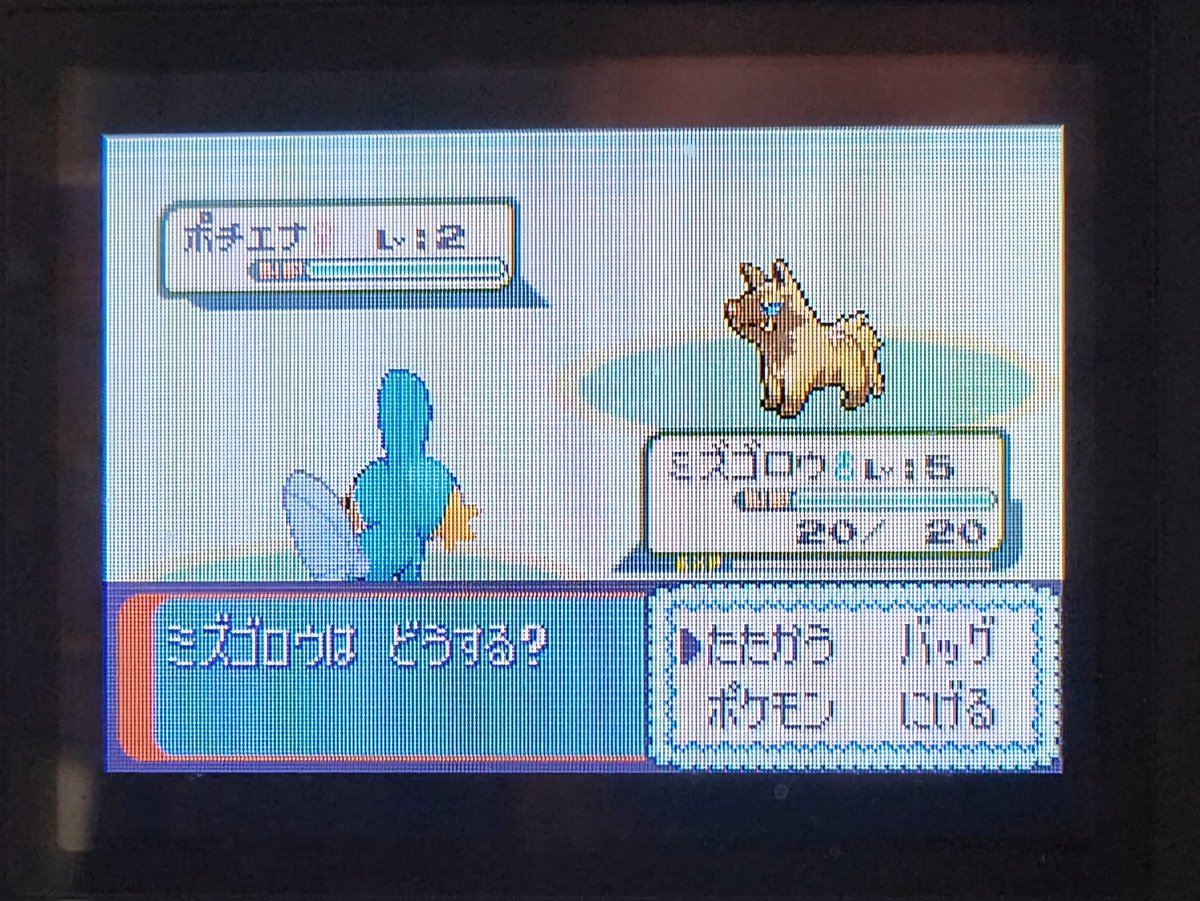 Got a shiny pooch after ??? soft resets for mudkip. Probably under 1k tho