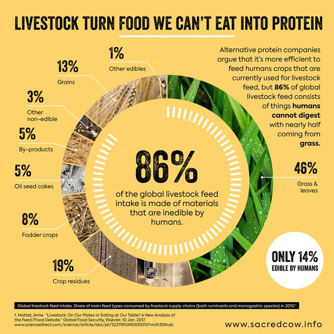 Vegan: 'Most crops are grown to feed animals.' Me: 'No, most crop material fed to animals is the waste material from crops grown for humans, here's the proof.' Vegan: 'But most crops are grown to feed animals.' 🤦 #vegan #veganism #veganfood #TofuTaliban