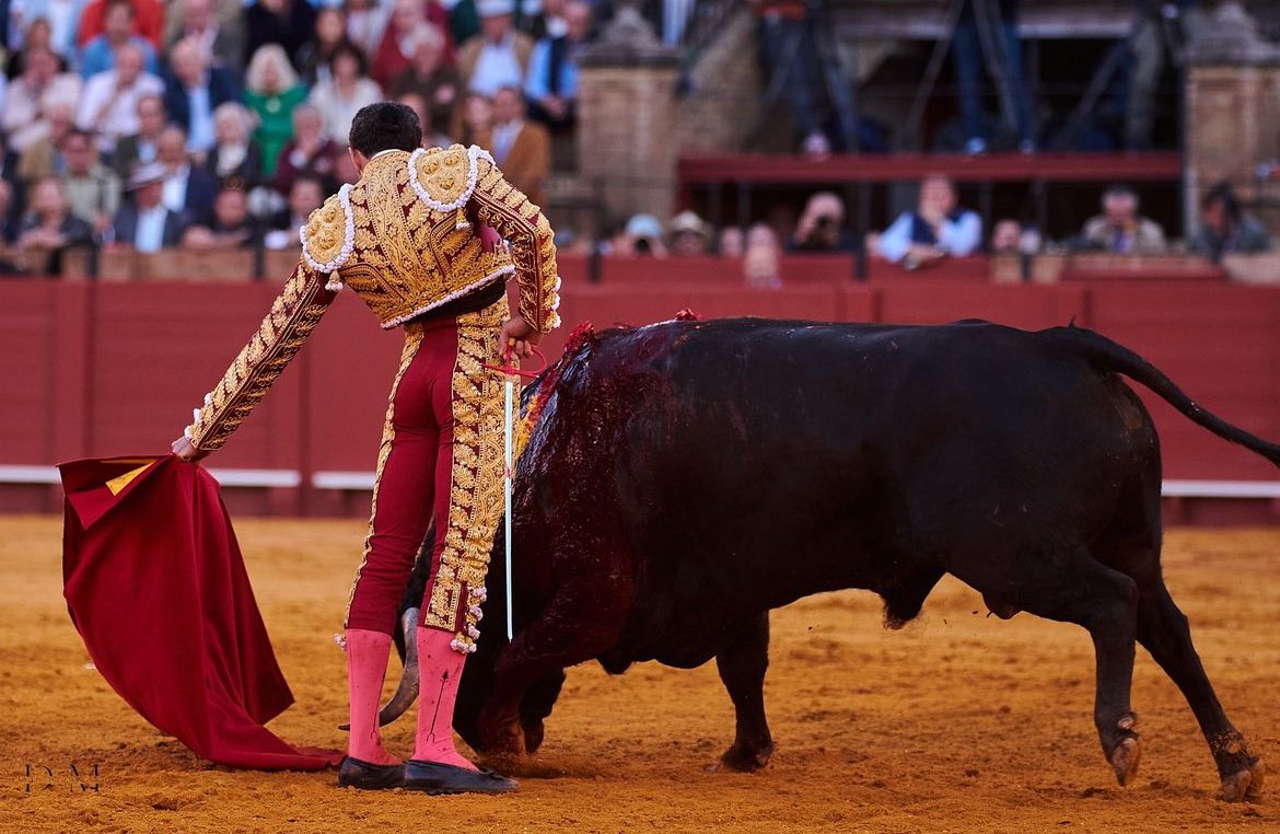 ¡Es extraordinario el cariño recibido de toda la afición taurina! He leído cada uno de los mensajes que nos habéis enviado. Mi familia y yo os estamos eternamente agradecidos. Una sobredosis de motivación para seguir soñando con embestidas ¡Muchas gracias!