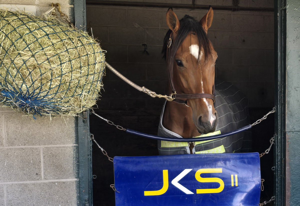 woohoo! @SweezeyK on the board with a big win here in the slop. 🥳🏇