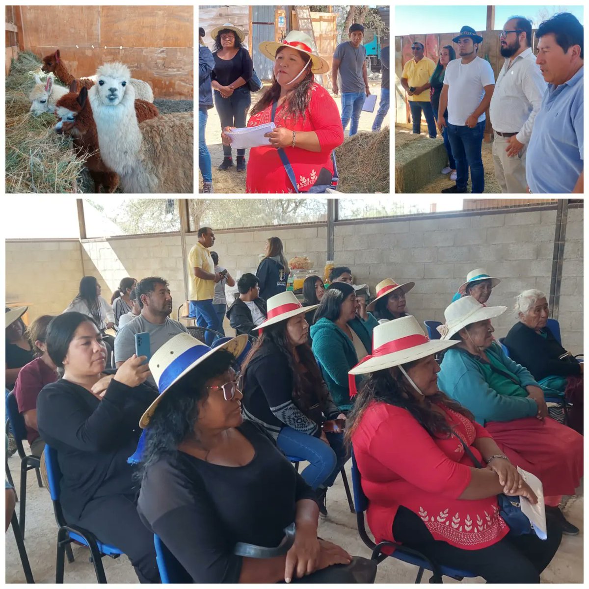 Participamos de la Comisión Vivienda, Desarrollo Urbano y Ordenamiento Territorial del <a href="/CoredeTarapaca/">CORE Tarapaca</a> realizada en #PozoAlmonte para conocer el proyecto de la Asociación Indígena Aymara Flor del Desierto y responder a sus dudas con respecto a sus trámites #Tamarugal #Tarapacá