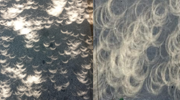 El eclipse del 8 de abril durante la parcialidad produjo imágenes de sonrisas bajo las ramos de los árboles . En cambio el anular del año pasado, anillos de luz; pues se trató de un eclipse anular.  (reddit)