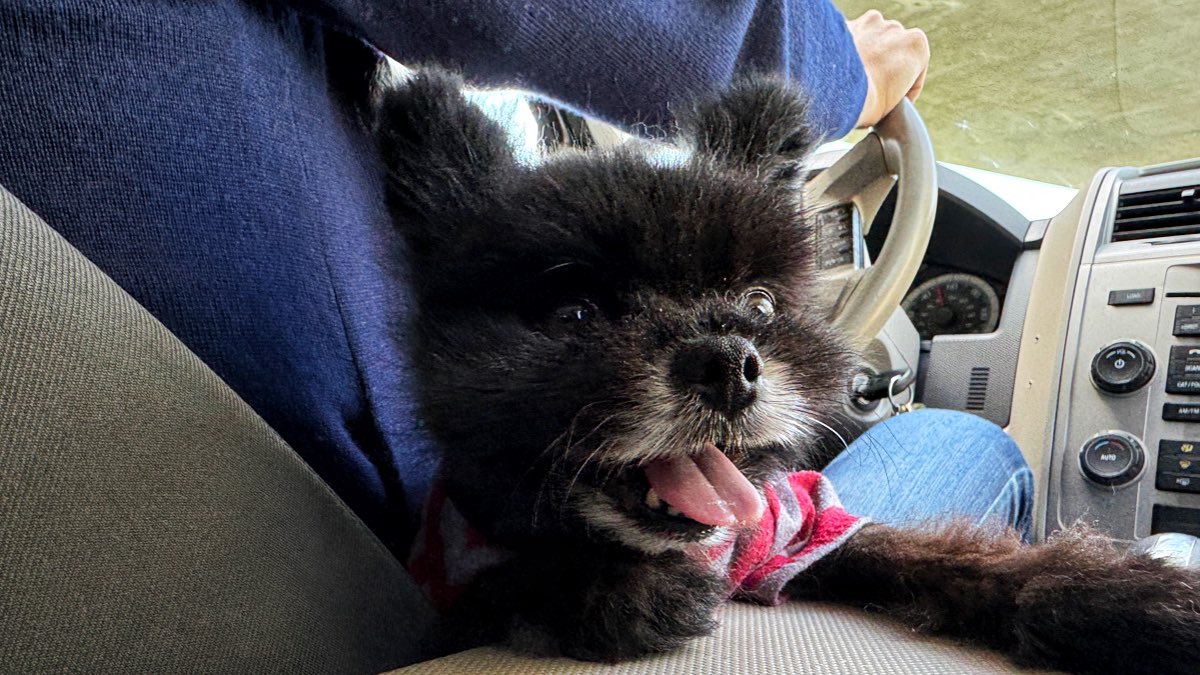 Can I give an Uber more than 5 stars?