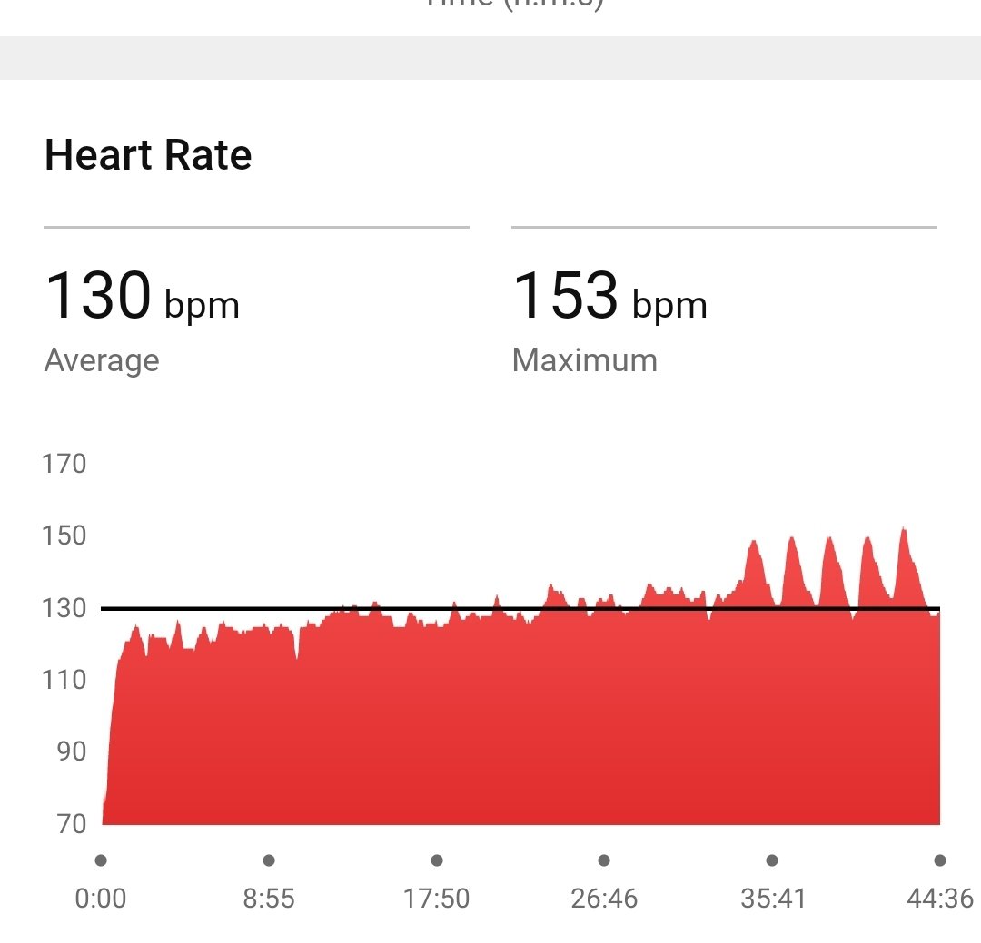 Week 9, Day 3 of OC Marathon training.  

4 mi easy w/ strides @ 1 incline. 

-34 min @ 5-5.5 mph
-5 x 0:30 strides @ 8.3-8.7 mph, 1:30 @ 5 mph
-0:36 @ 5 mph

Finish time: 44:36
Avg pace: 5.38 mph (11:09 min/mi)
Avg heart rate: 130 bpm
Elevation gain: 211 ft
#ComicConFit #running