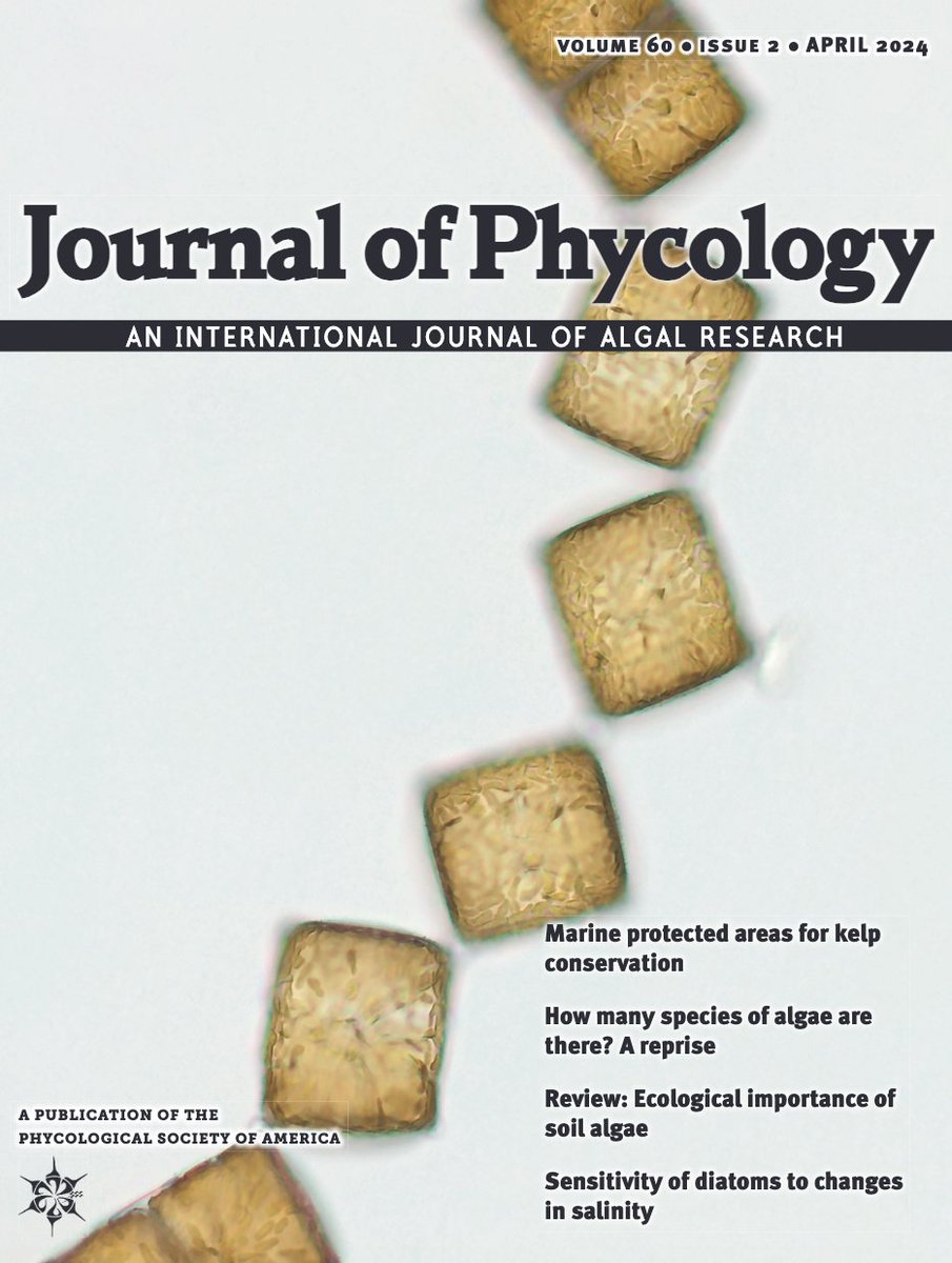 April issue of @JPhycology is out!

How many species of #algae are there? Marine protected areas for #Kelp conservation. From rubies to rosettes and of course #diatoms. Our first #genome resource paper and much more. Check it out. @PSAAlgae 

onlinelibrary.wiley.com/toc/15298817/2…