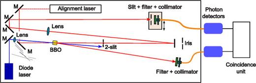 Check out this great FREE access article 'Young's double-slit interference demonstration with single photons' from the latest issue of the American Journal of Physics. doi.org/10.1119/5.0179… #PhysicsTeachers #PhysicsEducation #AJP