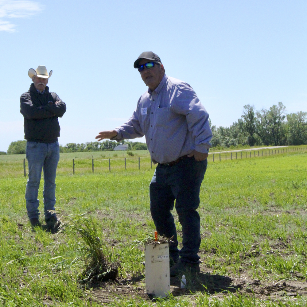 Research finds benefits to precision manure management. canadiancattlemen.ca/news/research-…