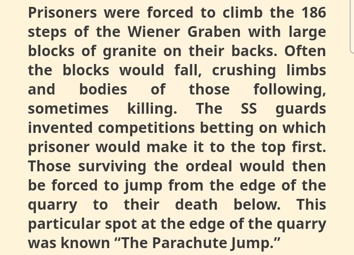 And here we have a person that believes in the 'Mauthausen Stairs of Death' narrative. 
Picrel