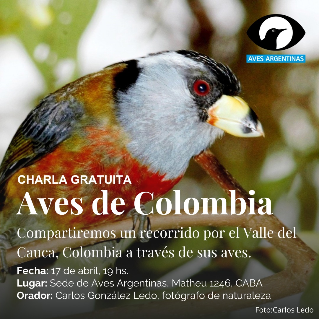 ¡Atención! 💙 Llega una nueva charla presencial 🐦 Aves de Colombia 🦅 📍Lugar - Matheu 1248, CABA 🕓 Hora - 19.00 📅 Fecha - 17 de abri Te esperamos!