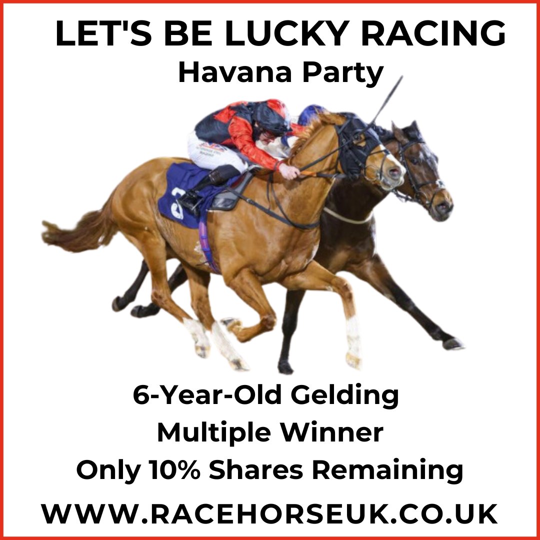 6yo gelding  HAVANA PARTY is a multiple-winner from @LBL_racing.  This smashing late-maturing horse is really showing what he can do in 2024.🤩 In training with @jardineracing.  Only 10% remaining 💥
racehorseuk.co.uk/horse-detail/?…
#horseracing #racehorse #racehorseownership